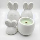 Bílá